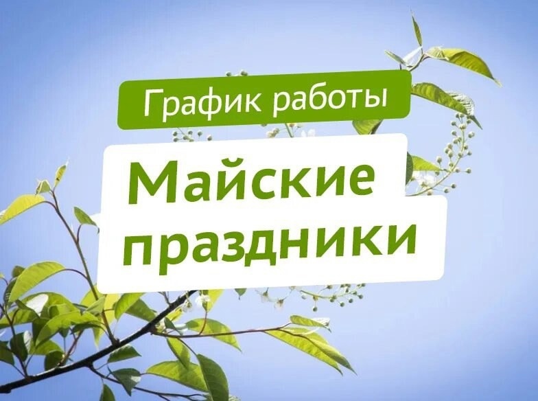 grafik.jpg